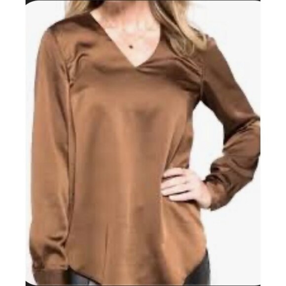 Universal Standard V Neck Satiny Long Sleeve Shimmery Blouse Sz 4XS (XS 00-0) Wo - Picture 1 of 12